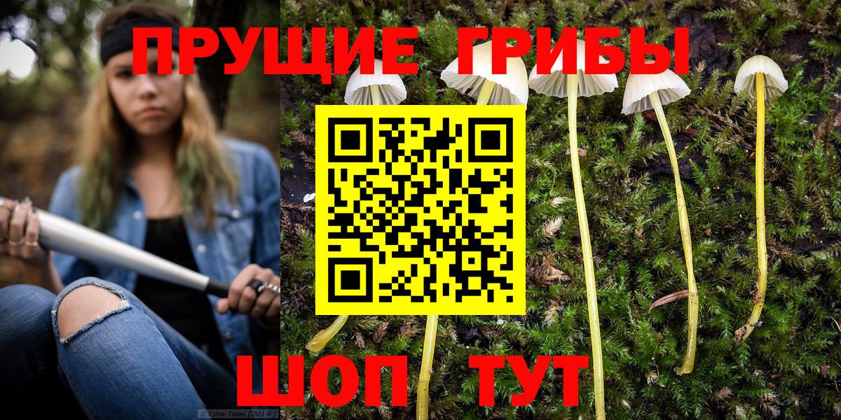 Рыбинск  Псилоцибиновые грибы Magic Shrooms  Галлюциногенные грибы MAGIC MUSHROOMS  Вход с VPN 